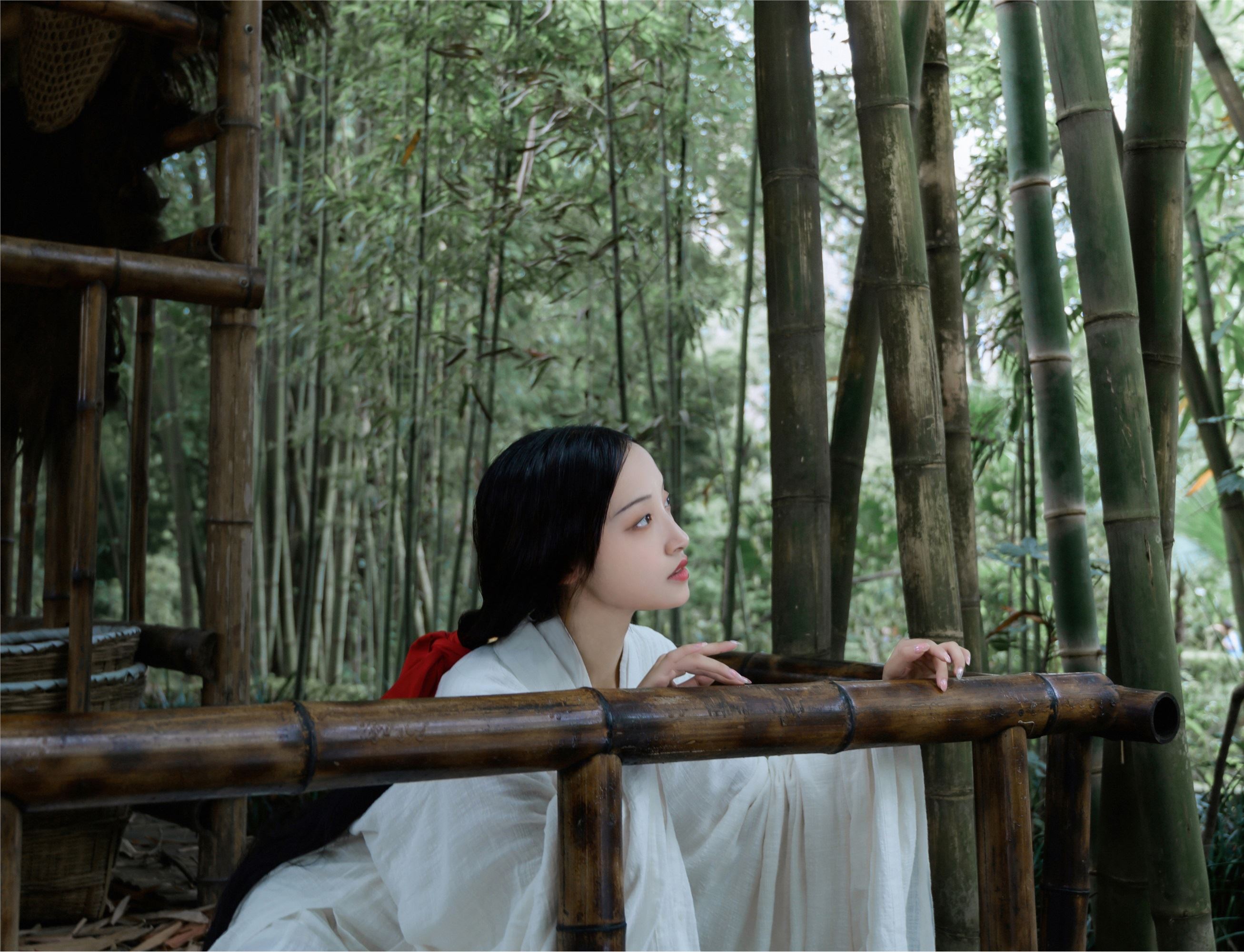 YITUYU艺图语 2025.01.30 清竹 瑾年